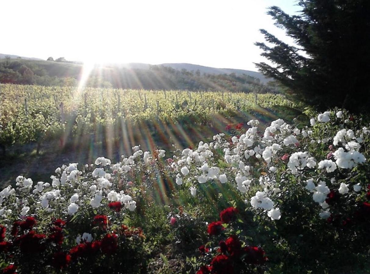 Agriturismo Fattoria Il Piano - Casa Tosca - 圣吉米纳诺 外观 照片