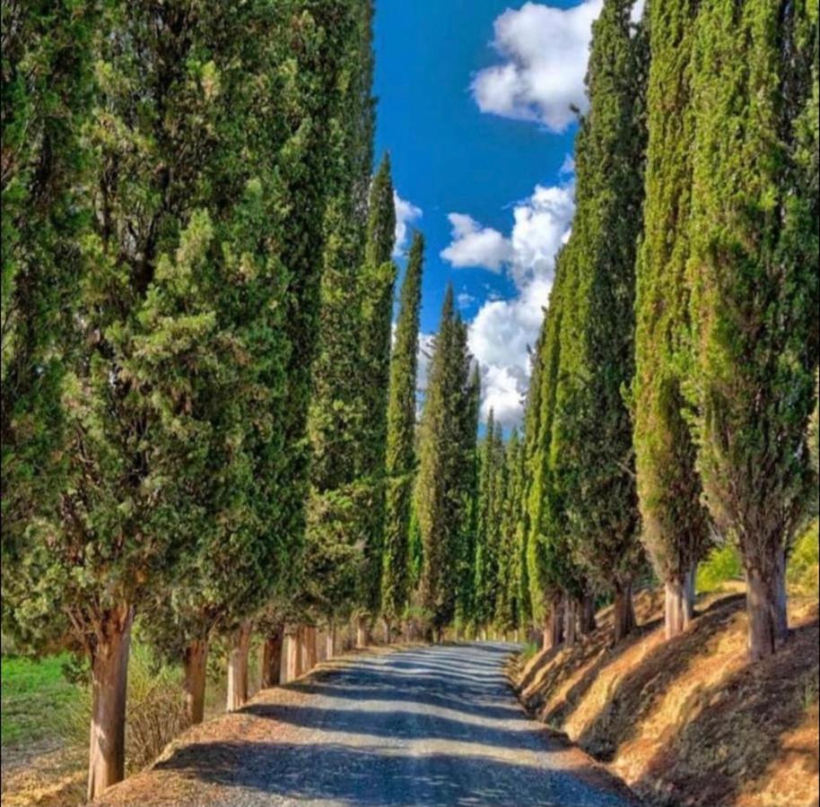 Agriturismo Fattoria Il Piano - Casa Tosca - 圣吉米纳诺 外观 照片