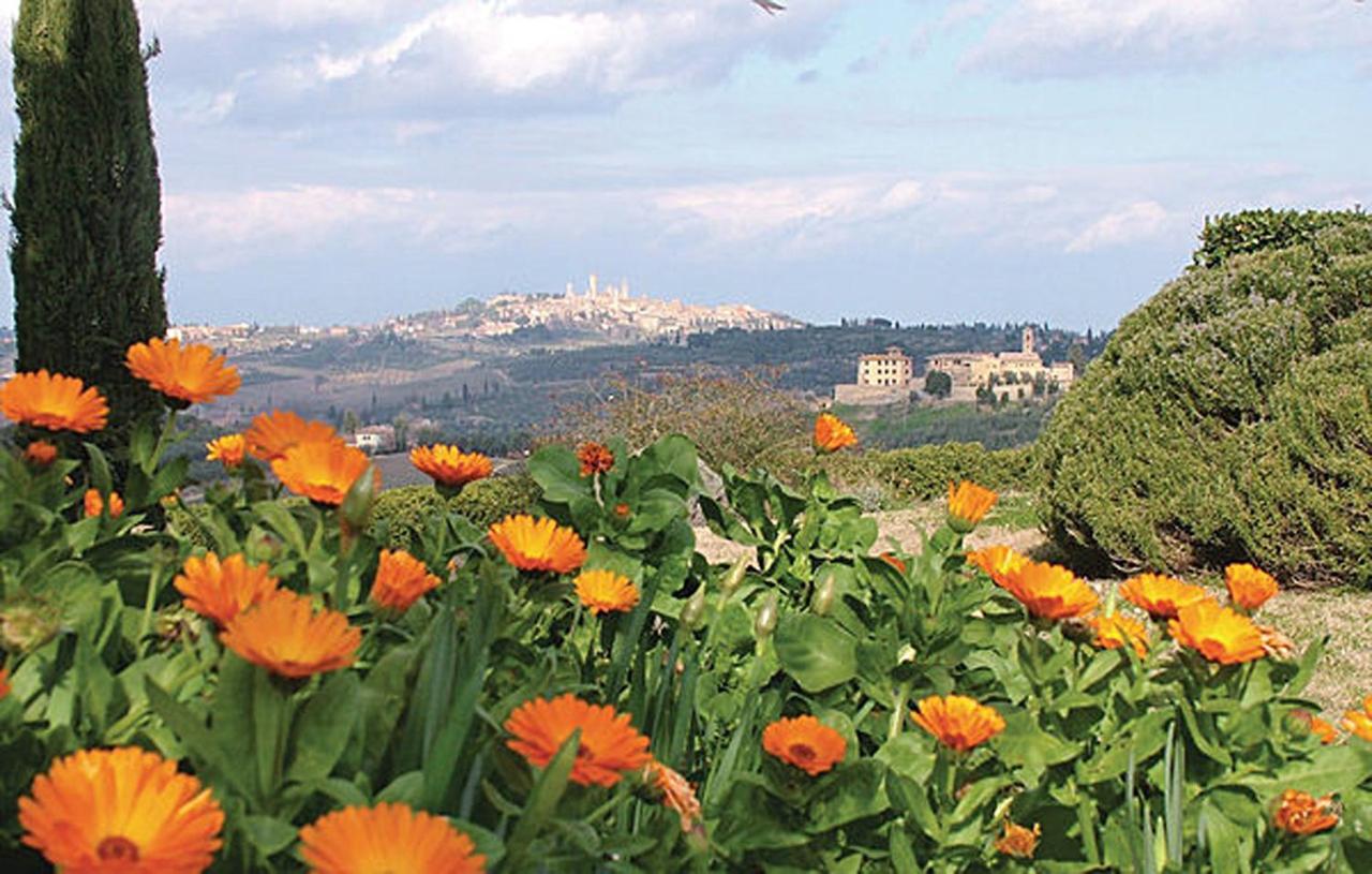 Agriturismo Fattoria Il Piano - Casa Tosca - 圣吉米纳诺 外观 照片